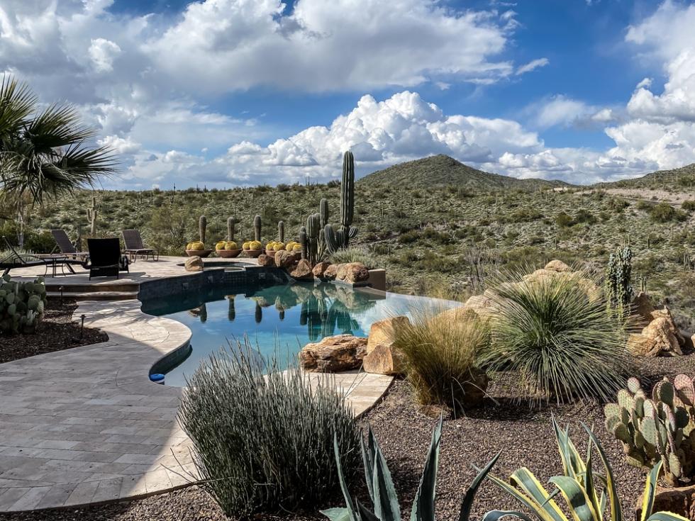 Desert and tropical planting design for Phoenix, AZ landscapes