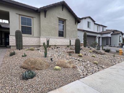 Desert Landscape 1
