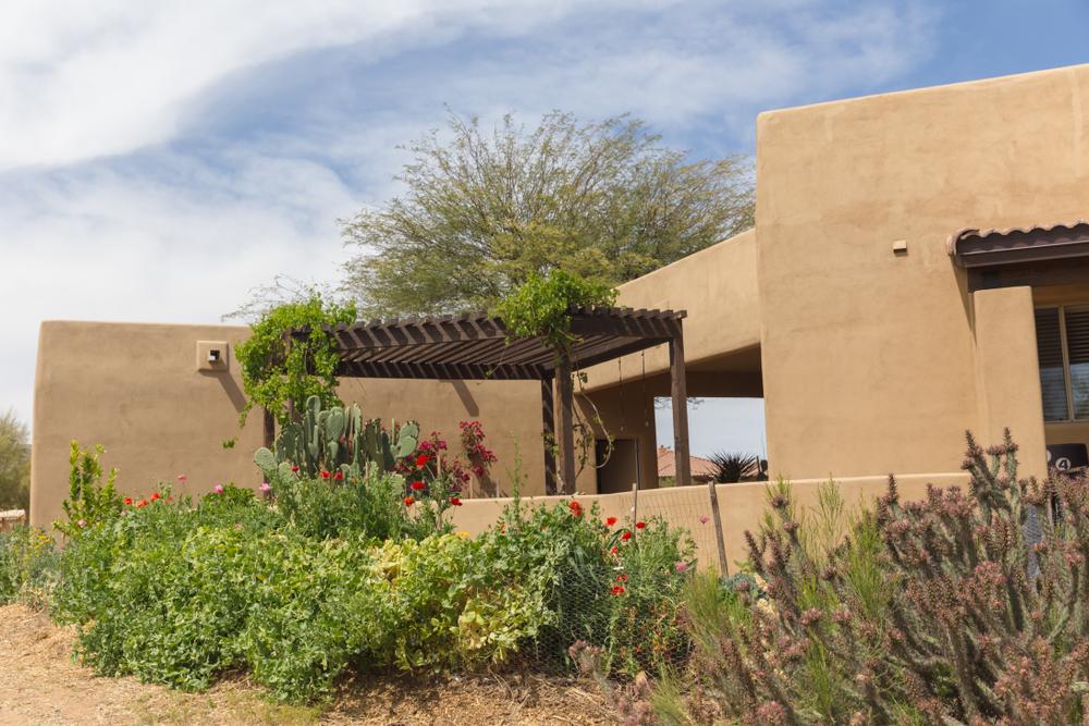 Backyard fountain and landscaping in Phoenix, AZ