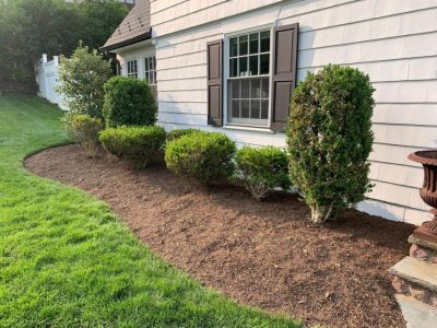 Landscaping Company In Rio Verde Landscape2020 (2)