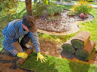 Landscape,gardener,laying,turf,for,new,lawn,in,the,garden