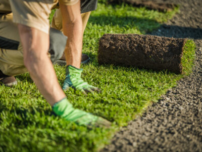 Laying,grass,sods,at,backyard.,home,landscaping