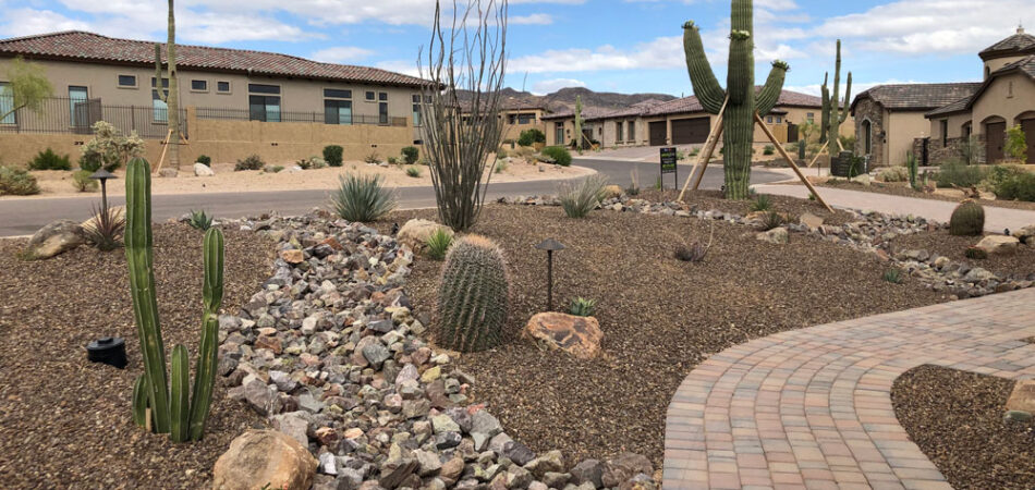 Desert Landscape