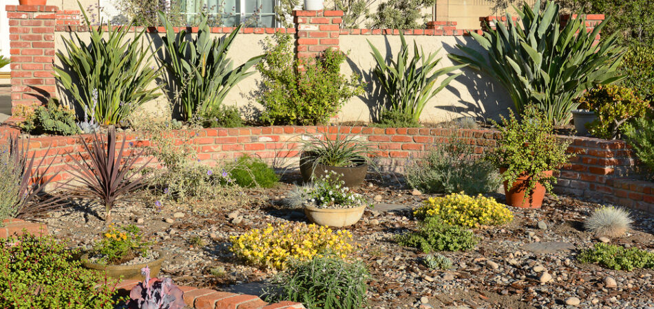 A,water,wise,front,yard,in,a,southern,california,home.