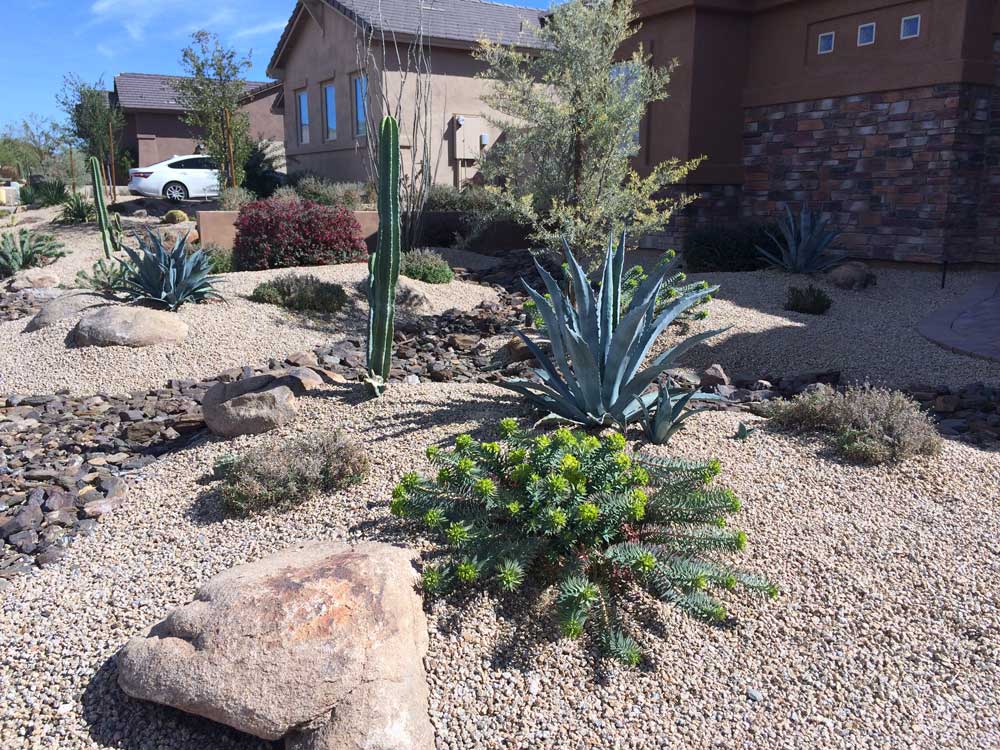 Landscaping Services in Phoenix, AZ – Landscapers Near Me